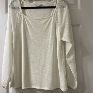 J. Crew Long Sleeve Top with Sheer Dotted Swiss Sleeves, Size Medium